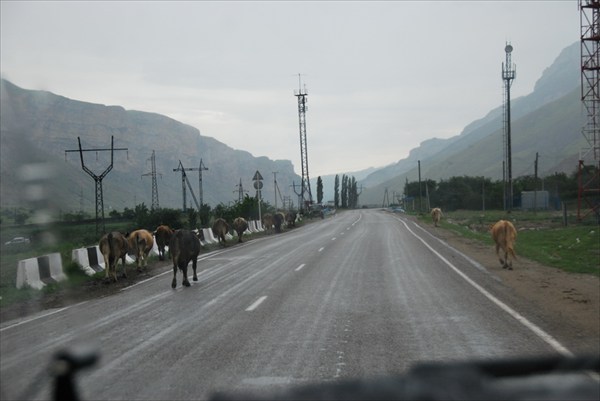 2009-07-04 18-20-06-Кавказ